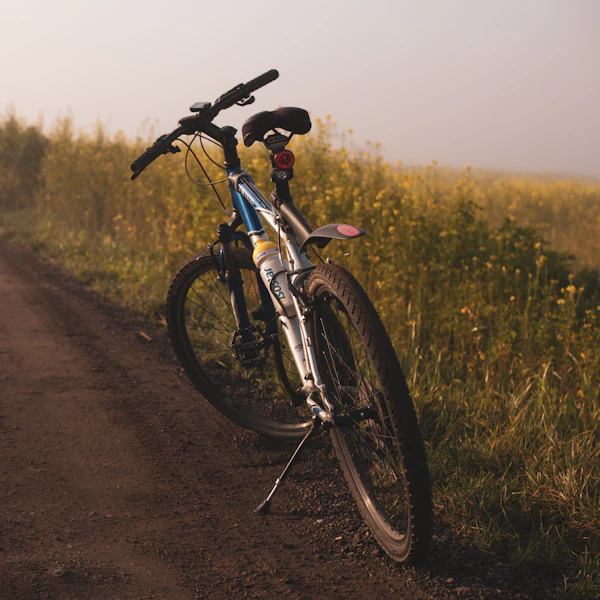 Compare Flights, Hotels & Tours Worldwide 3 Cycling