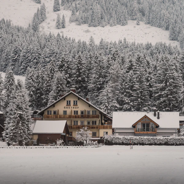 Compare Flights, Hotels & Tours Worldwide 15 Home Stay